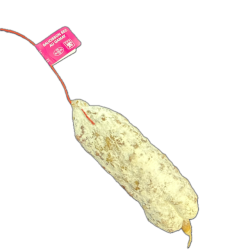 Saucisson Fumé